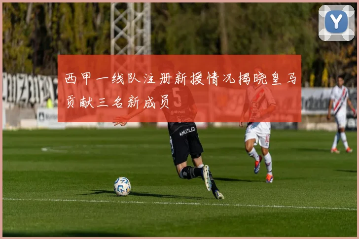 西甲一线队注册新援情况揭晓皇马贡献三名新成员